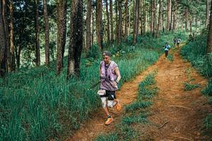 BIB: 
                            <button type="button" onclick="openModal(25745252)" class="btn btn-primary btn-sm float-right btn-popup" data-toggle="modal" data-target=".modal-high-quality">
                        <i class="fas fa-shopping-cart"></i> Add to Cart
                    </button>
                                            <button type="button" onclick="isThisMe(25745252, true)" class="btn btn-success btn-sm float-right btn-popup btn-isme hidden" data-toggle="tooltip" data-placement="bottom" title="นี่คือรูปของคุณใช่ไหม คลิกที่นี่เพื่อเอาเข้าอัลบั้ม">
                        <i class="fas fa-plus"></i> Add to album
                    </button>
                    <button type="button" onclick="isThisMe(25745252, false)" class="btn btn-warning btn-sm float-right btn-popup btn-isnotme hidden">
                        <i class="fas fa-ban"></i> Remove from album
                    </button>